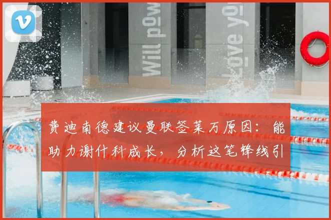 费迪南德建议曼联签莱万原因:能助力谢什科成长,分析这笔锋线引援对曼联2026阵容的价值